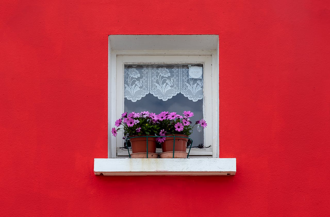 Colorful window on a red wall with pink flowers in pots, showcasing urban charm.